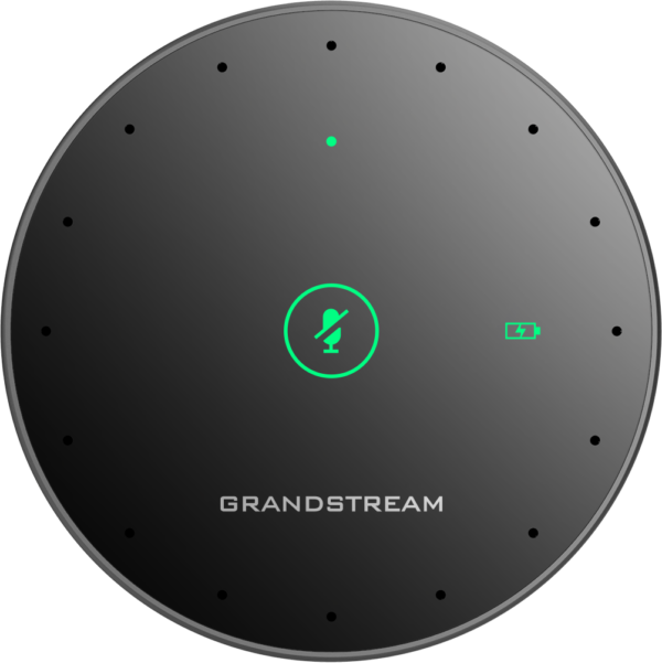 Grandstream GMD1208